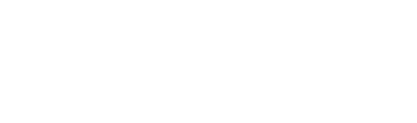 BSM logo